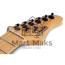 Электрогитара SCHECTER PT M/M - электрогитара 6-струнная, BLK