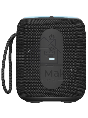 Портативная колонка AIWA PAS-H100 черный