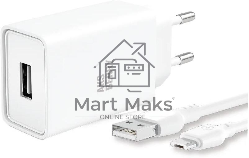 Зарядное устройство Aksberry (6900221570013) T40 1USB 24A + MicroUSB (белый)