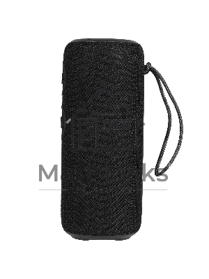 Колонка беспроводная AIWA (19179) PAS-H300 черный