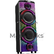 Портативная колонка AIWA CAS-1000 (25245)