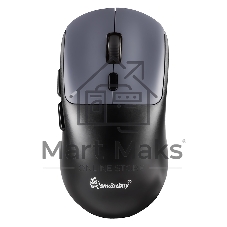 Мышь игровая беспроводная Dual BT+USB с зарядкой Smartbuy X7 черно-синяя (SBM777DSG) /40.  