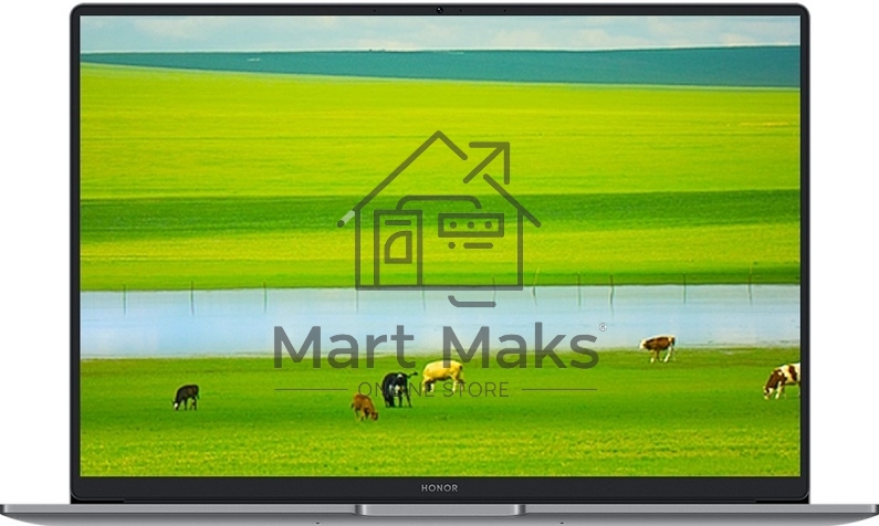 Ноутбук Honor MagicBook X14 Plus 2025 14