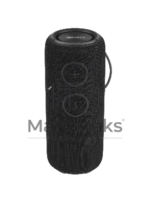 Колонка беспроводная AIWA (19179) PAS-H300 черный