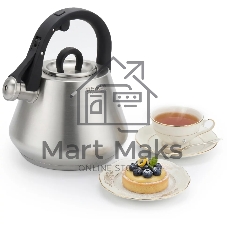 Чайник металлический Rondell Brando RDS-2013 2.8л. стальной