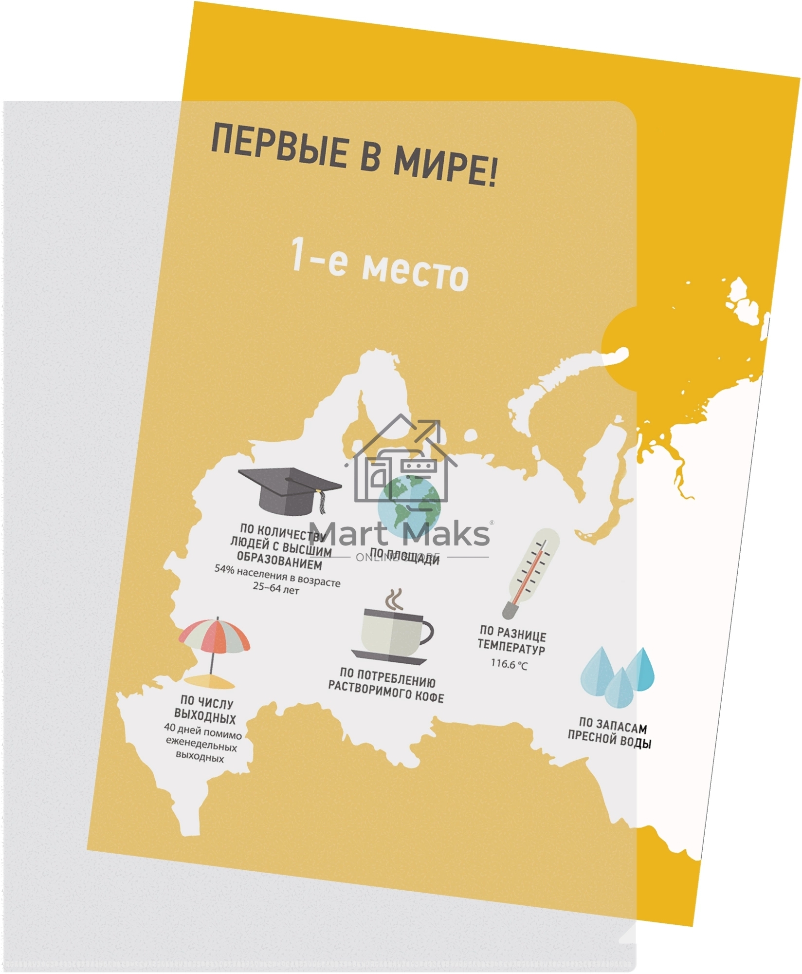 Папка-уголок Silwerhof Eco тисненый A4 пластик 0.12мм прозрачный
