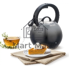 Чайник металлический Rondell Grigio RDS-1959 2.9л. серый