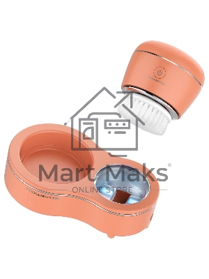 Щетка (д/очистки лица) Rowenta LV4010F0