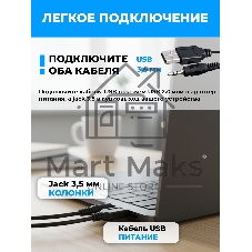 Портативная колонка Ritmix SP-3050