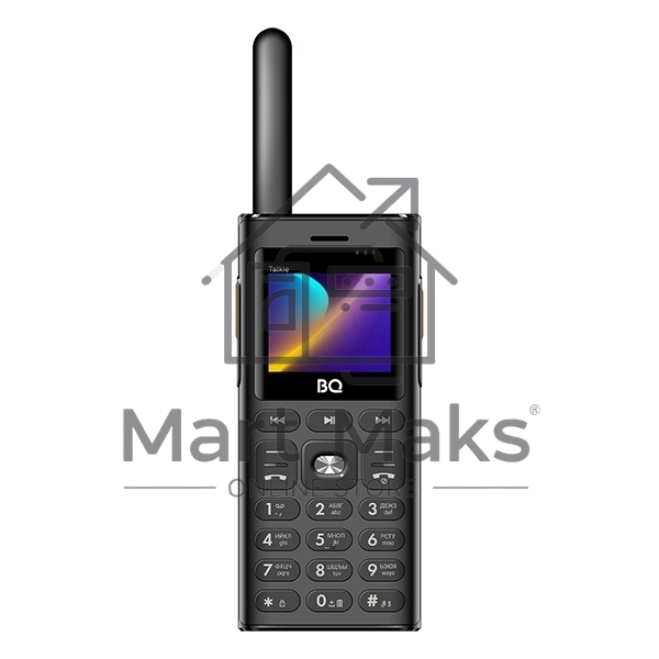 Мобильный телефон BQ 2010 Talkie черный