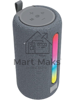 Портативная акустика AKSBERRY AS-25 VibeGo,серый