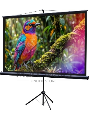 Экран на штативе Lumien Eco View 130x227см (раб.область124х221 см) (100