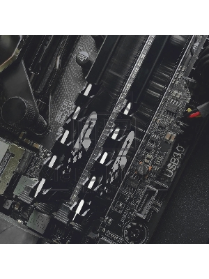 Оперативная память Patriot Memory Signature Premium RTL PSP48G2666H1 DDR4 8Gb 2666MHz RTL PC4-21300 CL19 DIMM 288-pin 1.2В single rank с радиатором Ret