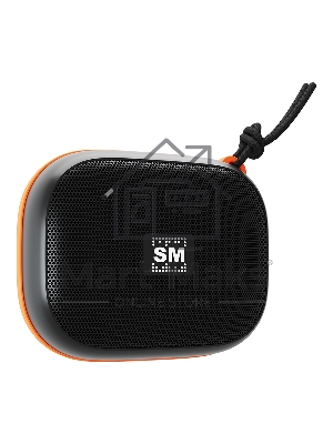 Портативная колонка Soundmax SM-PS5009B черный