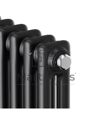 Дизайн-радиатор Royal Thermo Insignia C2180 - 10 секц. RAL9005m