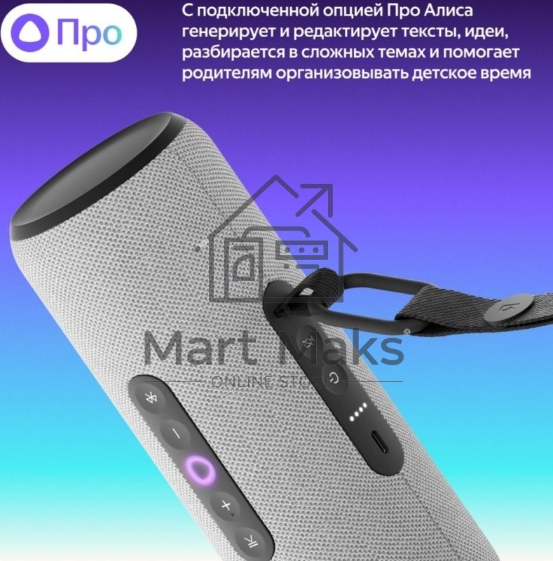 Умная портативная колонка Яндекс Станция Стрит с Алисой, модель YNDX-00030GRY (серый)