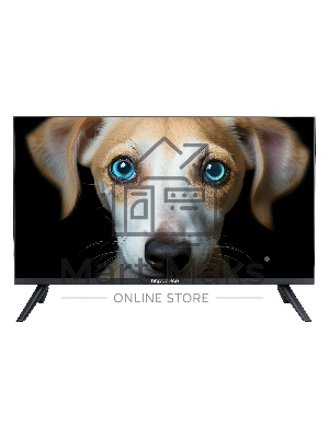 Телевизор Topdevice 24