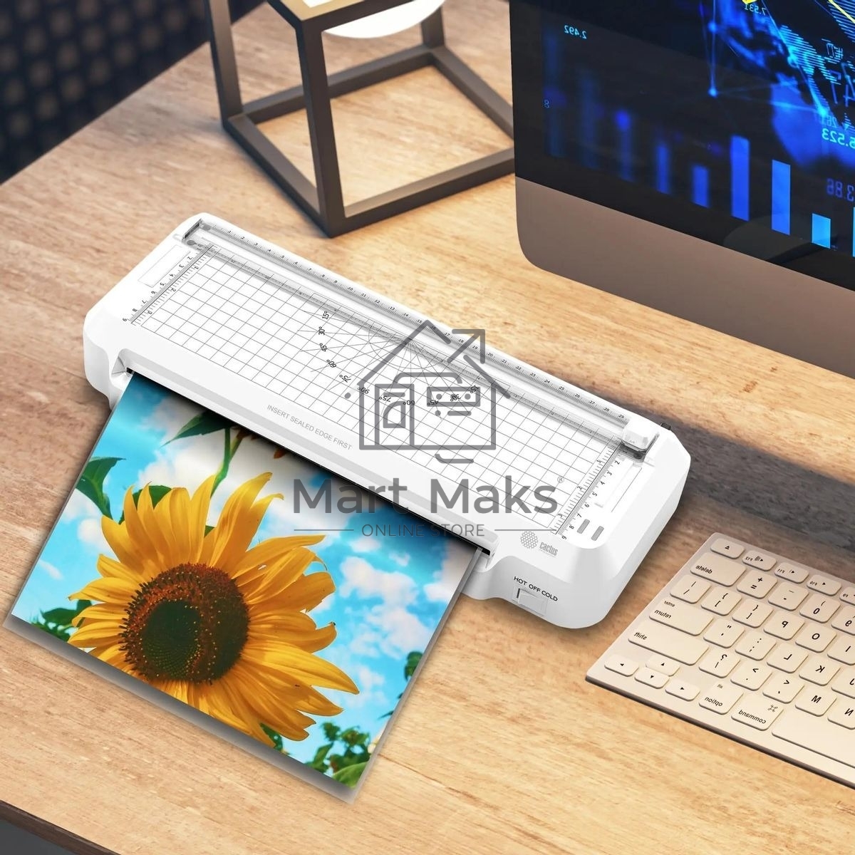 Ламинатор Cactus CS-LAB-F2 белый A4 (70-125мкм) 25 см/мин (2 вал.) хол. лам. лам. фото