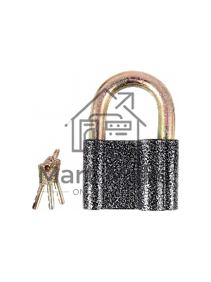 Замок навесной Park Ч/80