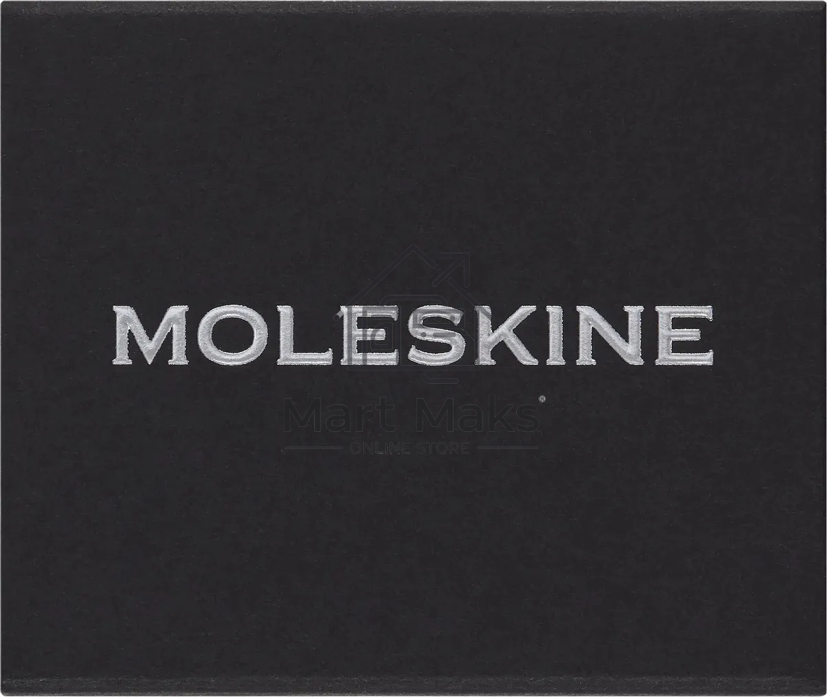 Шильд-символ Moleskine Zodiac Стрелец, металл, серебристый, коробка с европодвесом, PINSAGITTARIUSSILV