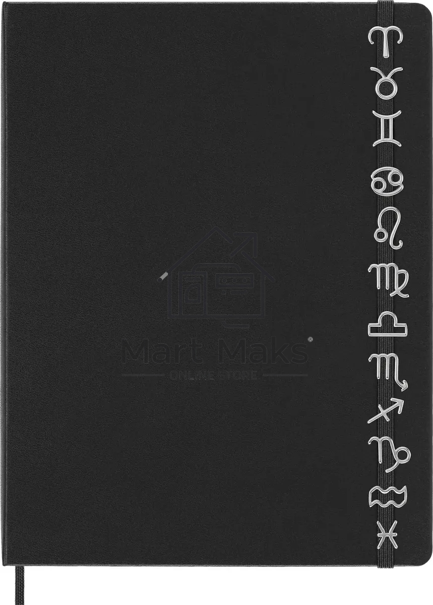 Шильд-символ Moleskine Zodiac Стрелец, металл, серебристый, коробка с европодвесом, PINSAGITTARIUSSILV