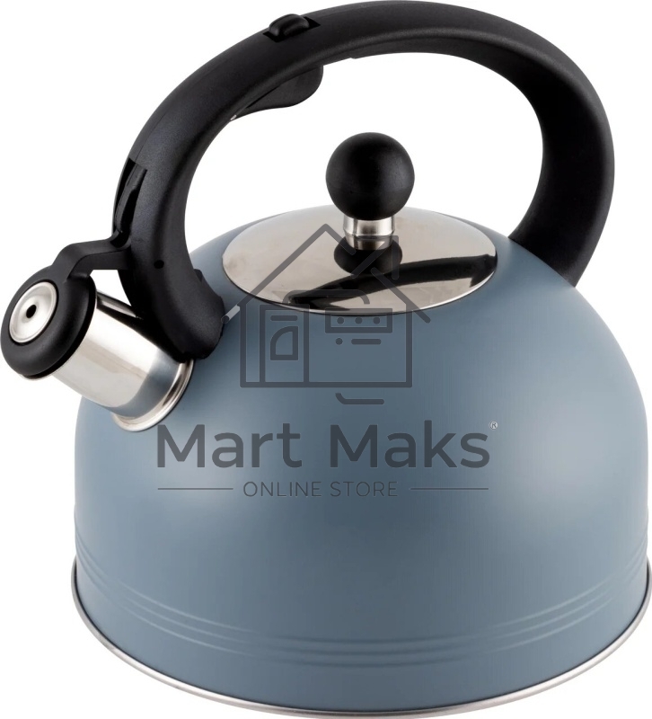 Чайник для плиты MALLONY MENTOLO 2,5 л, нерж. сталь со свистком, окрашенный корпус