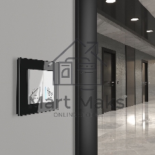 Выключатель двухклавишный для отелей WERKEL (белый) W1120801