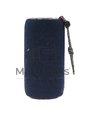 Портативная колонка MONSTER SUPERSTAR s310 (MS11902) синяя