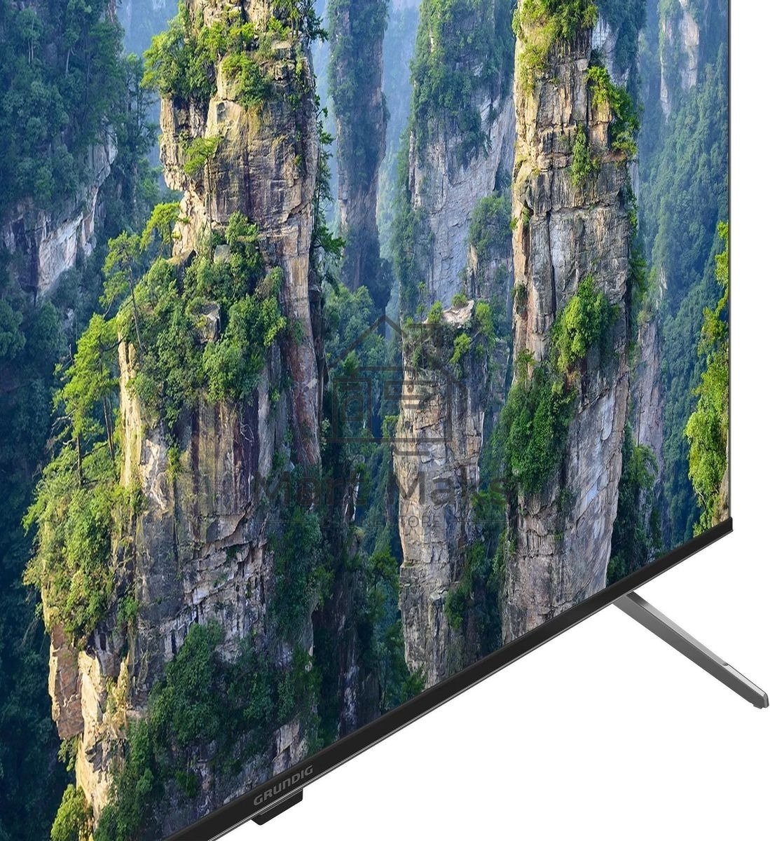 Телевизор Grundig 50