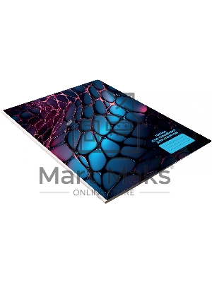 Папка Silwerhof Web для семейных документов (на 4комп листов) 230x310мм