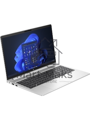 Ноутбук HP ProBook 450 G10/15.6