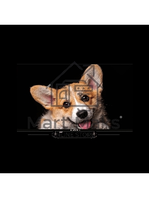 Телевизор Topdevice 32