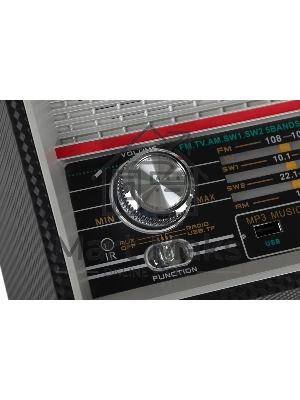 Радиоприемник Ritmix RPR-102 черный