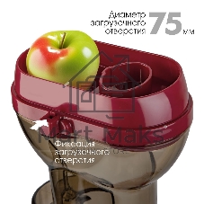 Соковыжималка шнекового типа Endever Sigma-102, красный/стальной, мощность 420 Вт, резервуар 1л, резервуар для мякоти 0,7 л, 2 шт./уп.