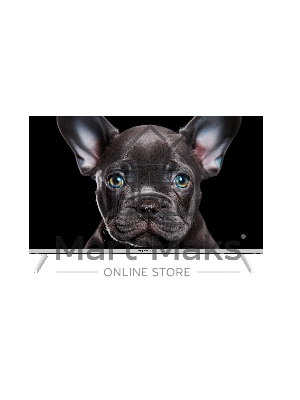 Телевизор TopDevice 32