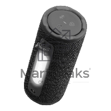 Портативная акустика JBLGRIPBLK черный