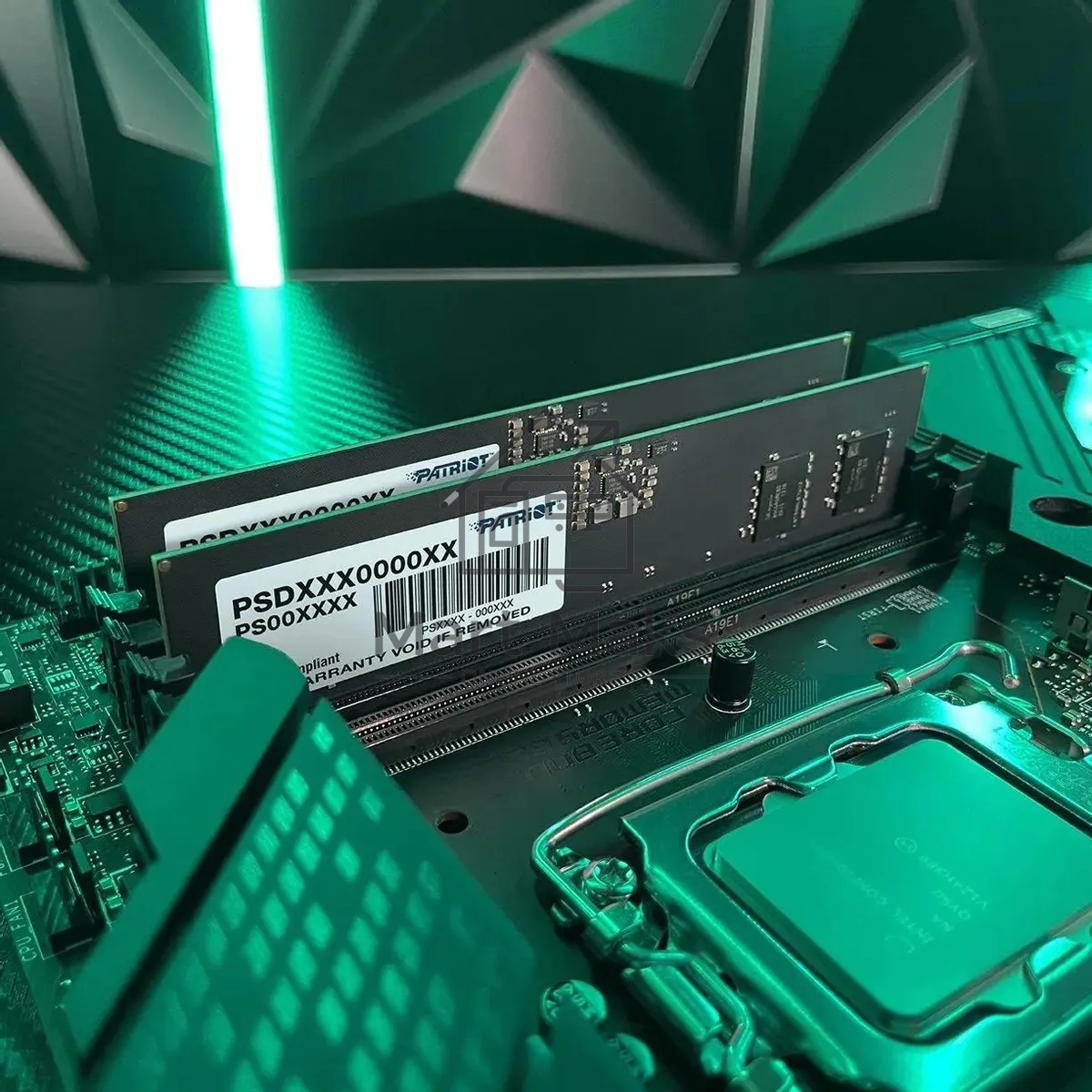 Оперативная память Patriot Signature, DDR5, 32GB (1x32 GB), 5600 MHz, CL46, DIMM