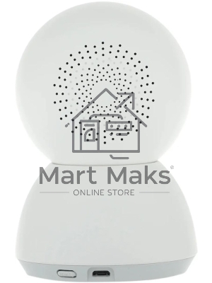 Поворотная IP-Камера Xiaomi Smart Camera C300 Dual EU