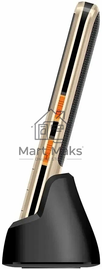 Мобильный телефон BQ 2006 Comfort золотой/черный