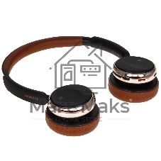 Гарнитура накладные Fiio Anytime F4439E черный беспроводные bluetooth оголовье (80004645)