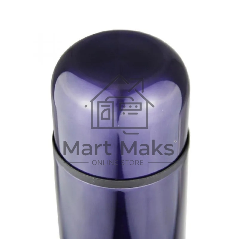 Термос Biostal (0,75 литра), фиолетовый