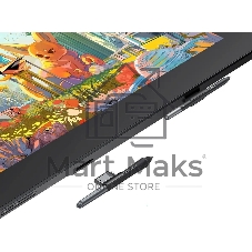 Графический планшет-монитор XPPen Artist Pro 24 USB Type-C/USB/HDMI/DisplayPort черный