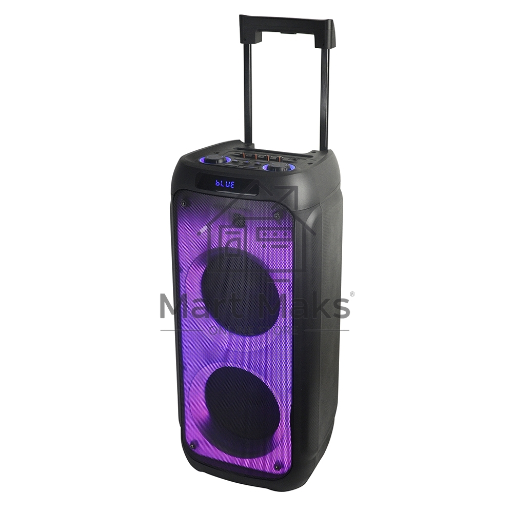 Колонка ELTRONIC 10
