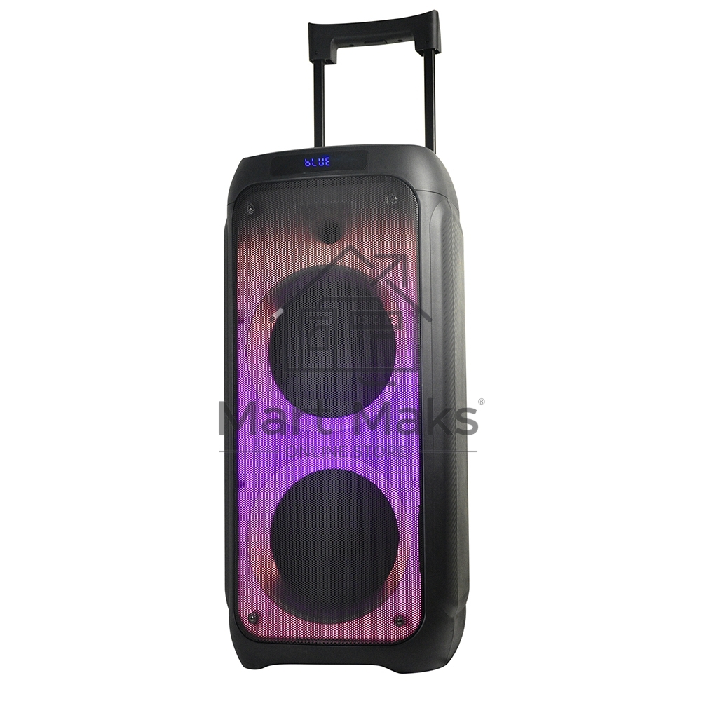 Колонка ELTRONIC 10