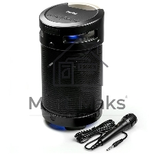 Портативная аудиосистема DIALOG AP-1030