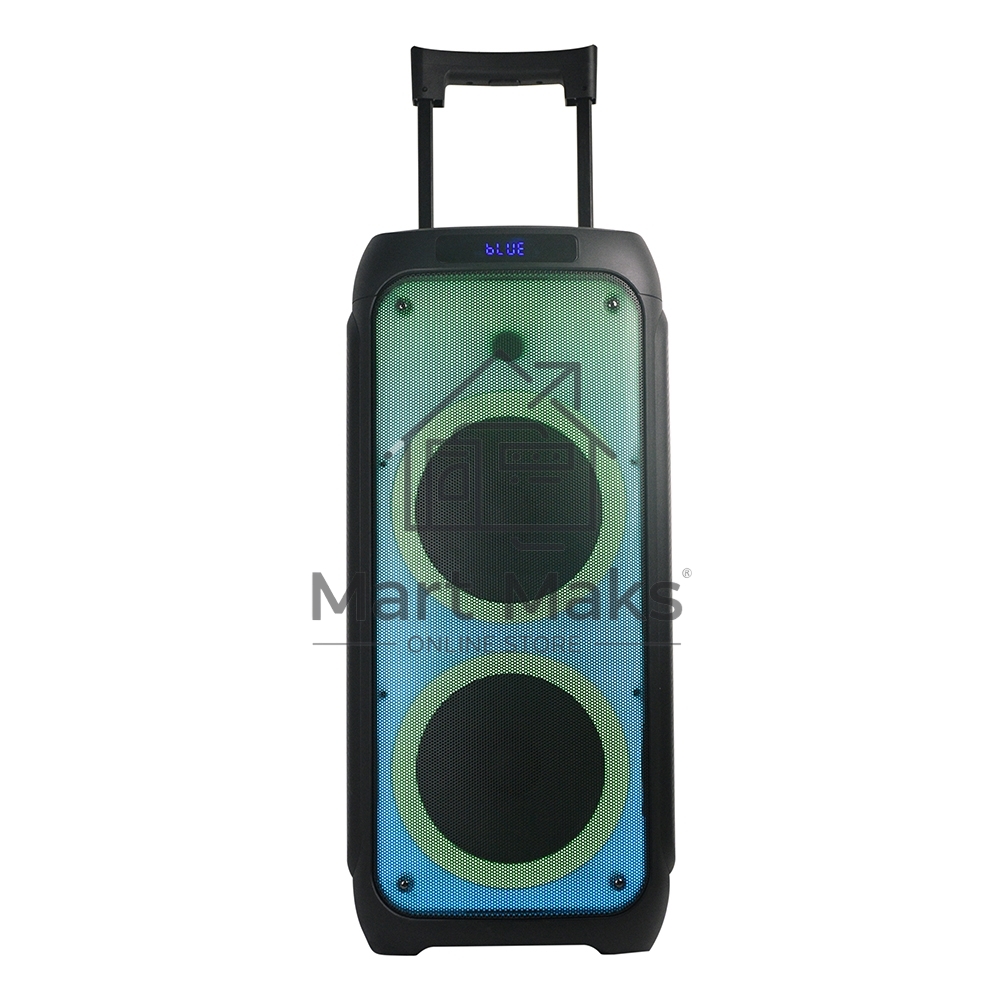 Колонка ELTRONIC 10