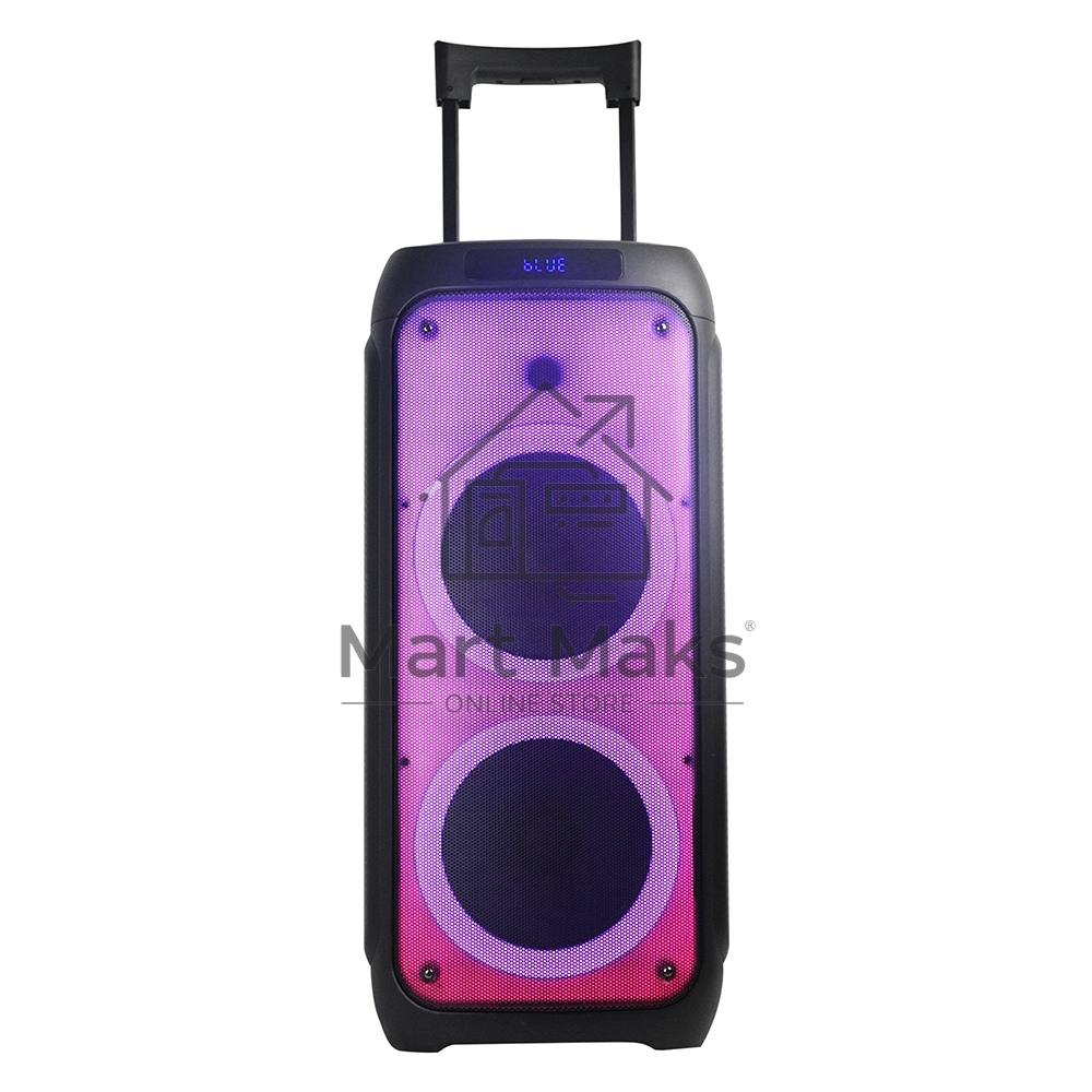 Колонка ELTRONIC 10