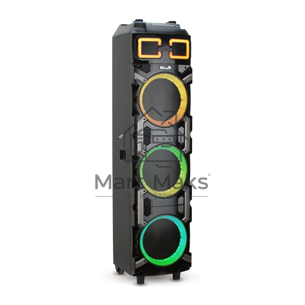 Колонка ELTRONIC 10