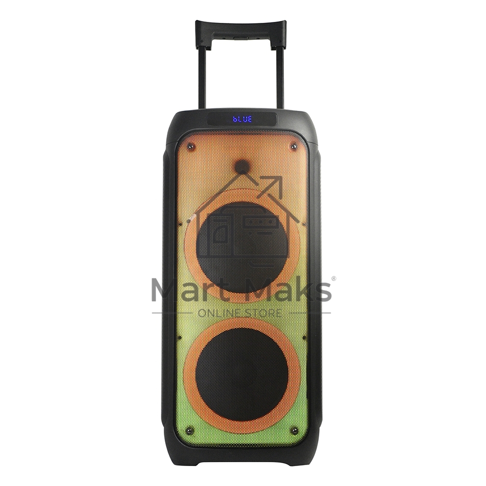 Колонка ELTRONIC 10