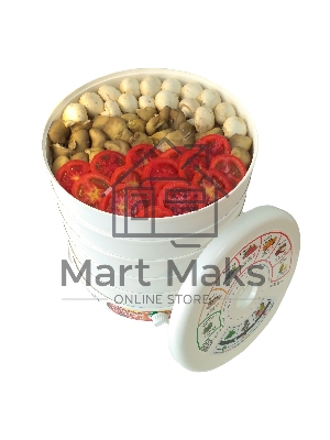 Сушилка для овощей и фруктов Renova DVN31-500/5(R)